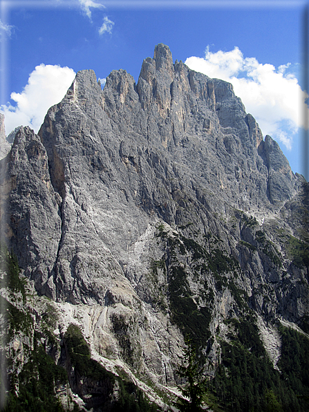 foto Pale di San Martino